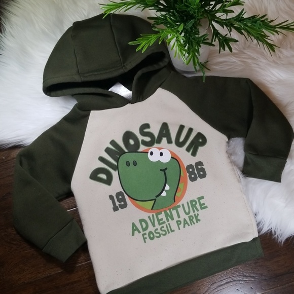 Little Rebels Other - 🌿5/$25 Little Rebels Dino Hoodie | sz 3T